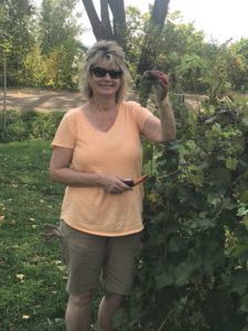 JoAnne-Lessons-in-Experiential-Marketing-While-Grape-Picking